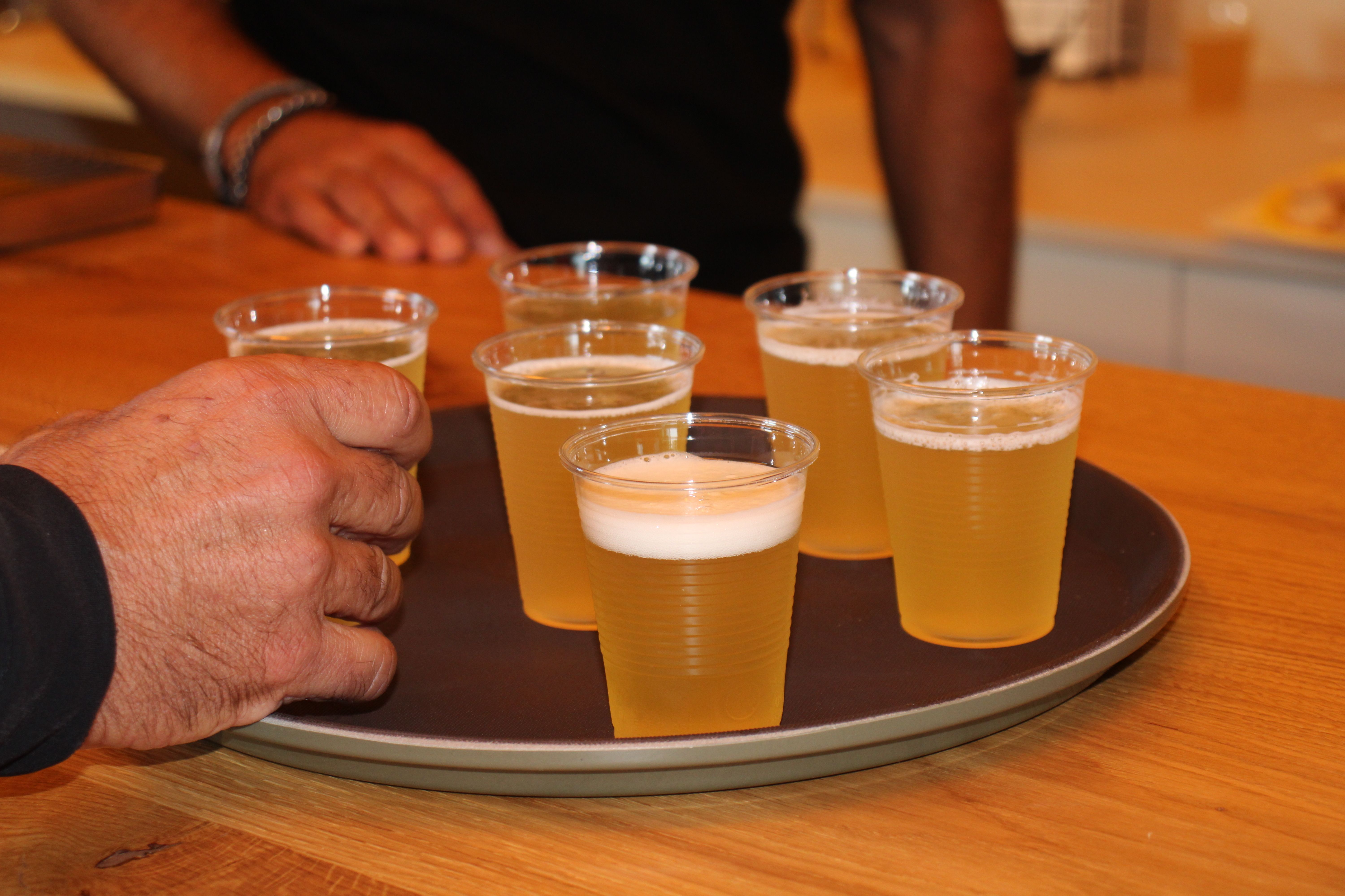 Brindisi durante un'esperienza ciclistica nella Pianura dei Dogi