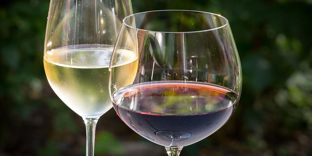 Amarone in E-Bike: Tra Vigne e Storia